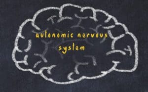 The autonomic nervous system and functional dysregulation : Why it is important and what to do about it